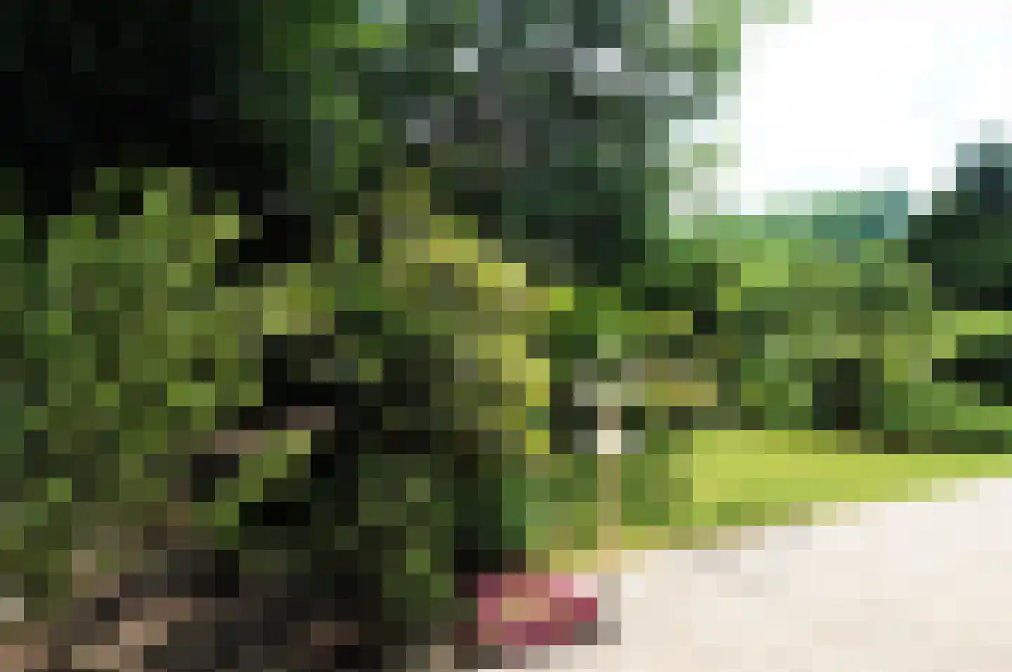 Haspel 97 32 Ermelo thumbnail 17