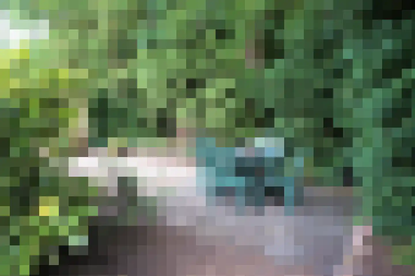Haspel 97 32 Ermelo thumbnail 19