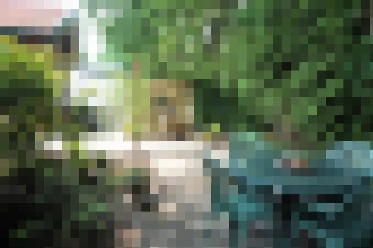 Haspel 97 32 Ermelo thumbnail 20