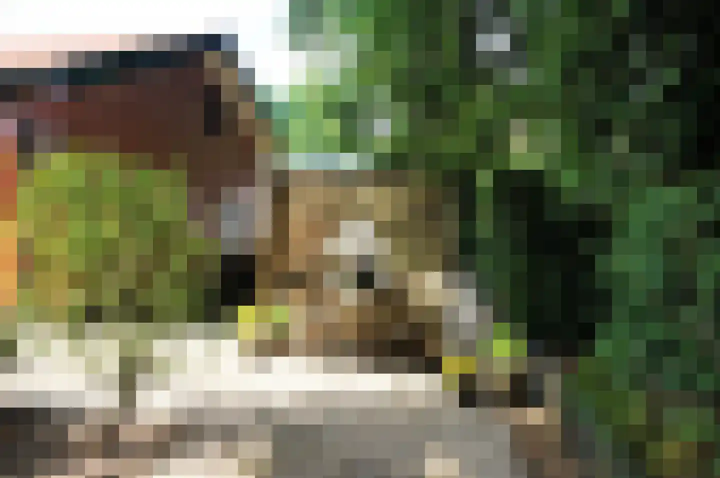 Haspel 97 32 Ermelo thumbnail 21
