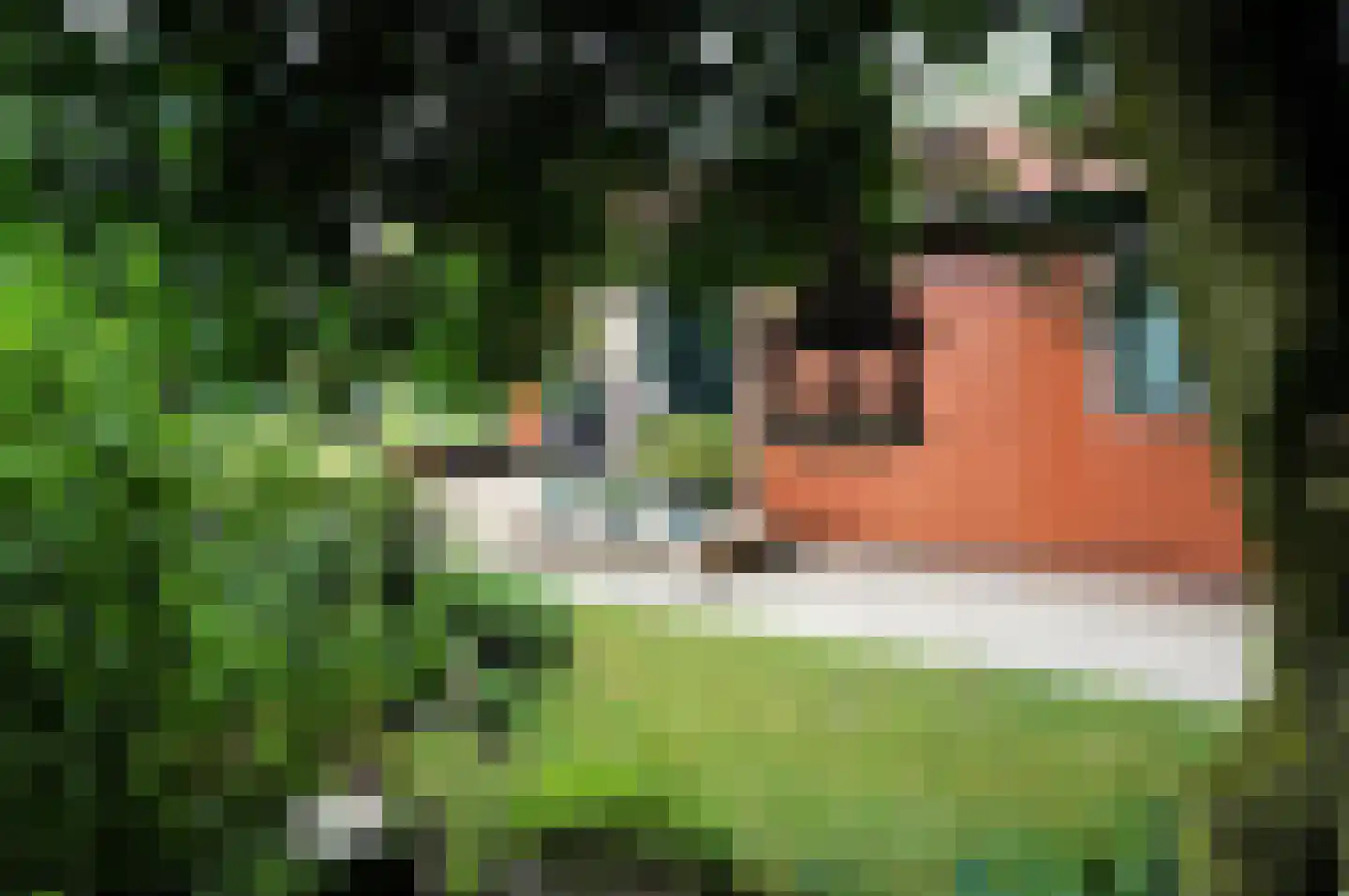 Haspel 97 32 Ermelo thumbnail 25