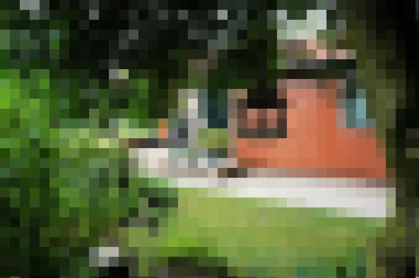 Haspel 97 32 Ermelo thumbnail 25