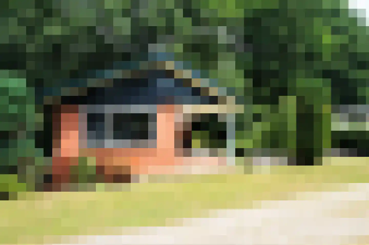 Haspel 97 32 Ermelo thumbnail 26