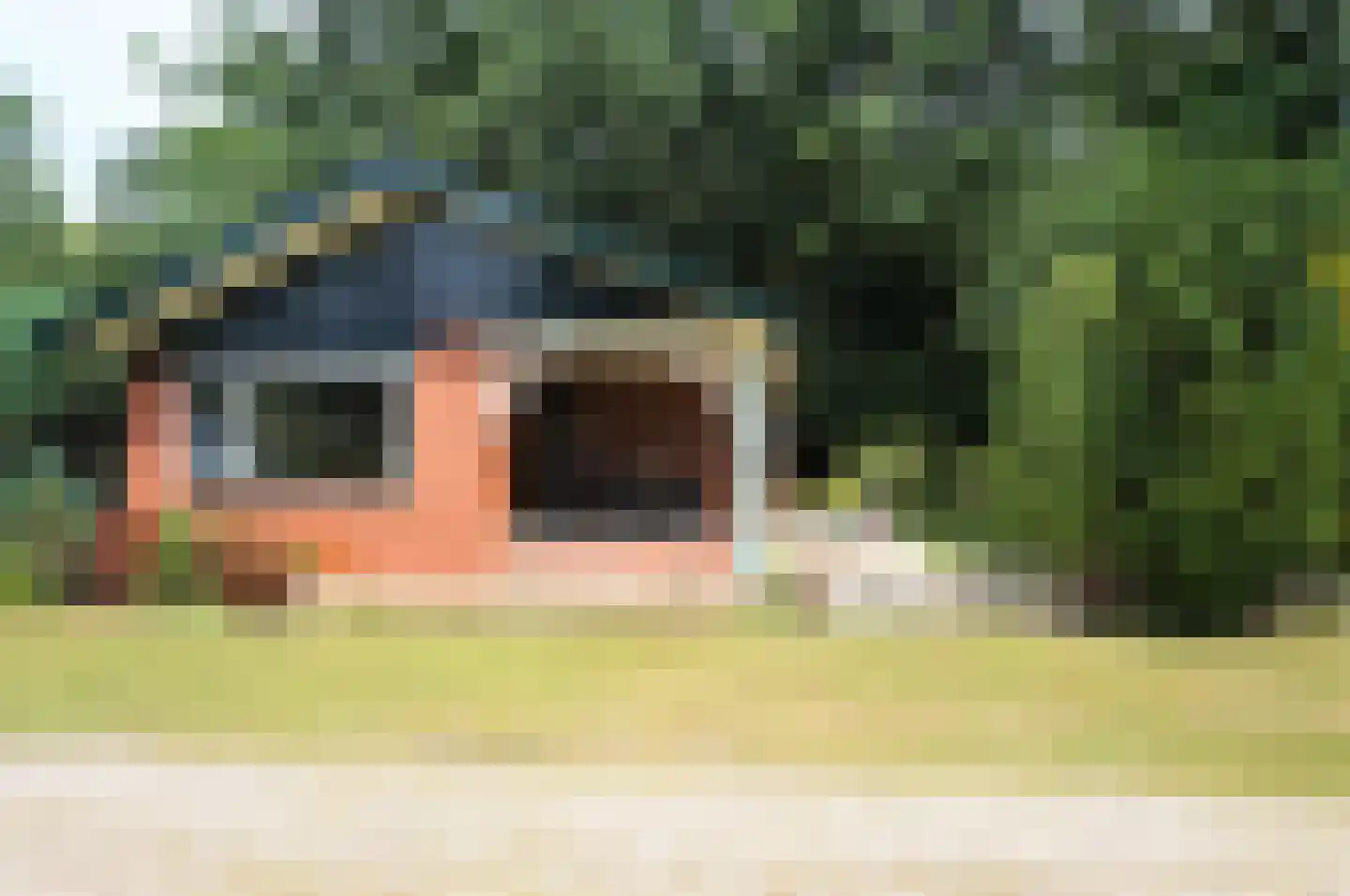 Haspel 97 32 Ermelo thumbnail 27