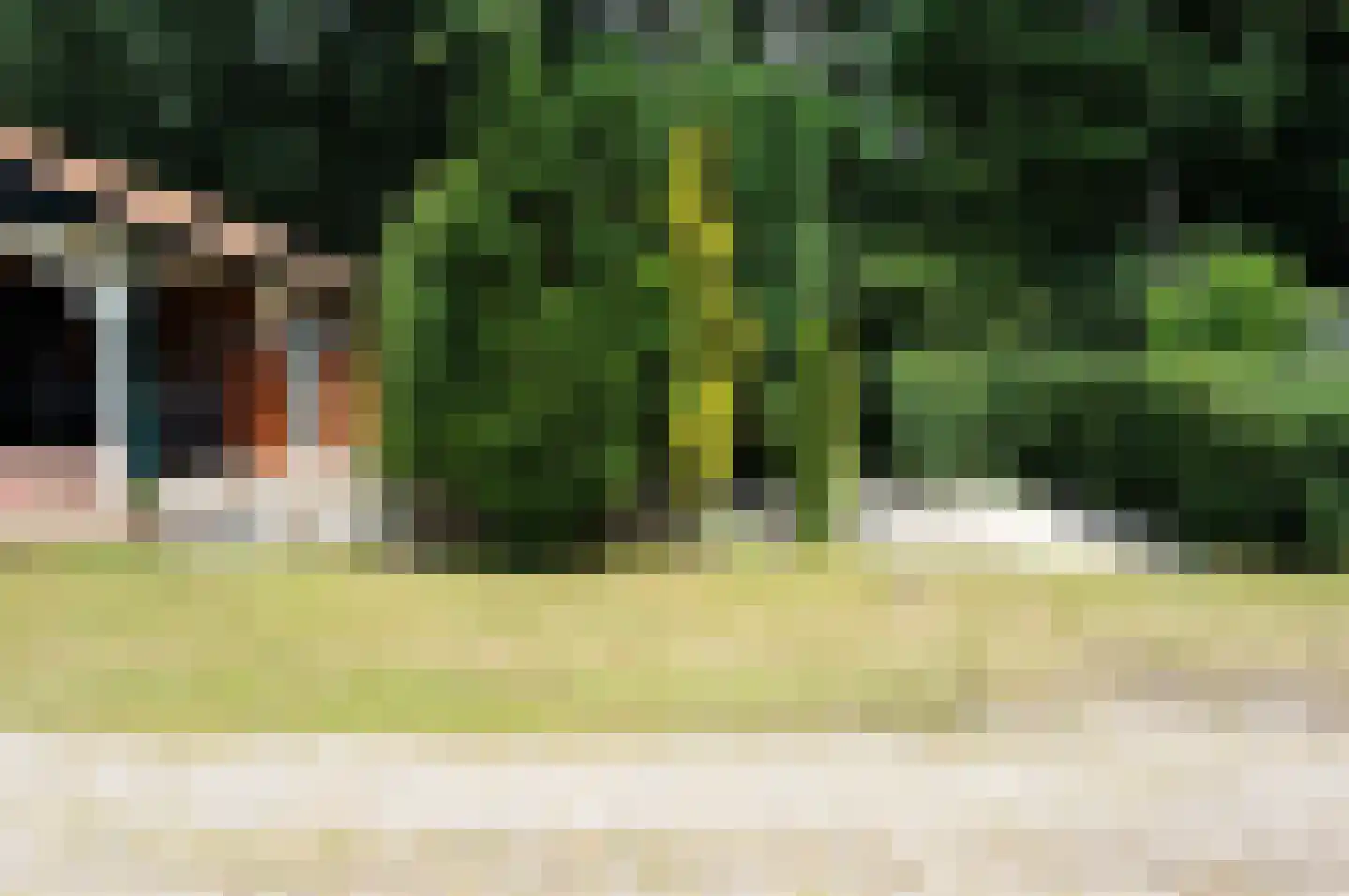 Haspel 97 32 Ermelo thumbnail 28