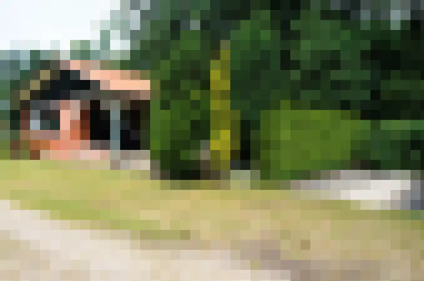 Haspel 97 32 Ermelo thumbnail 29