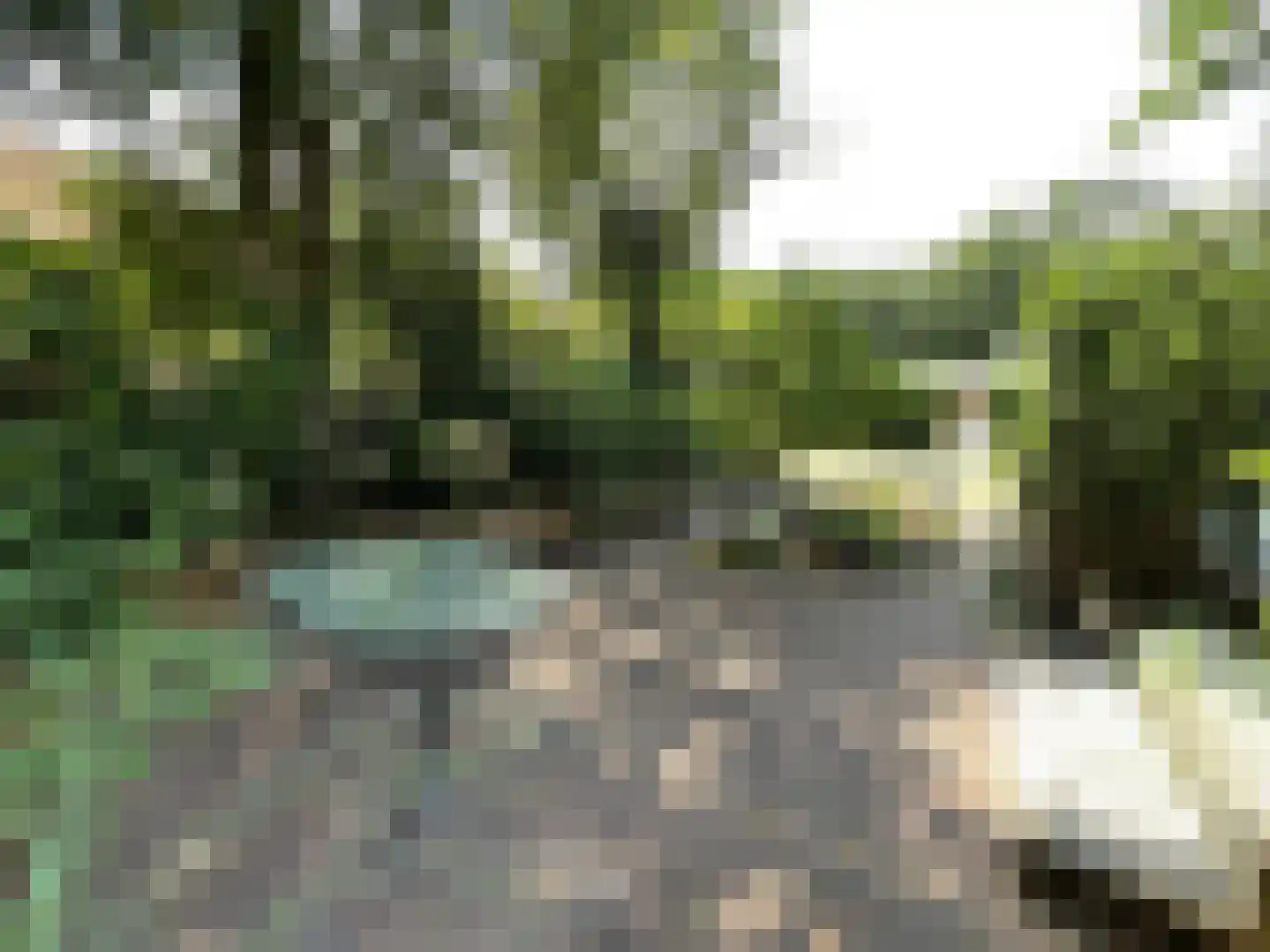 Haspel 97 55 Ermelo thumbnail 16