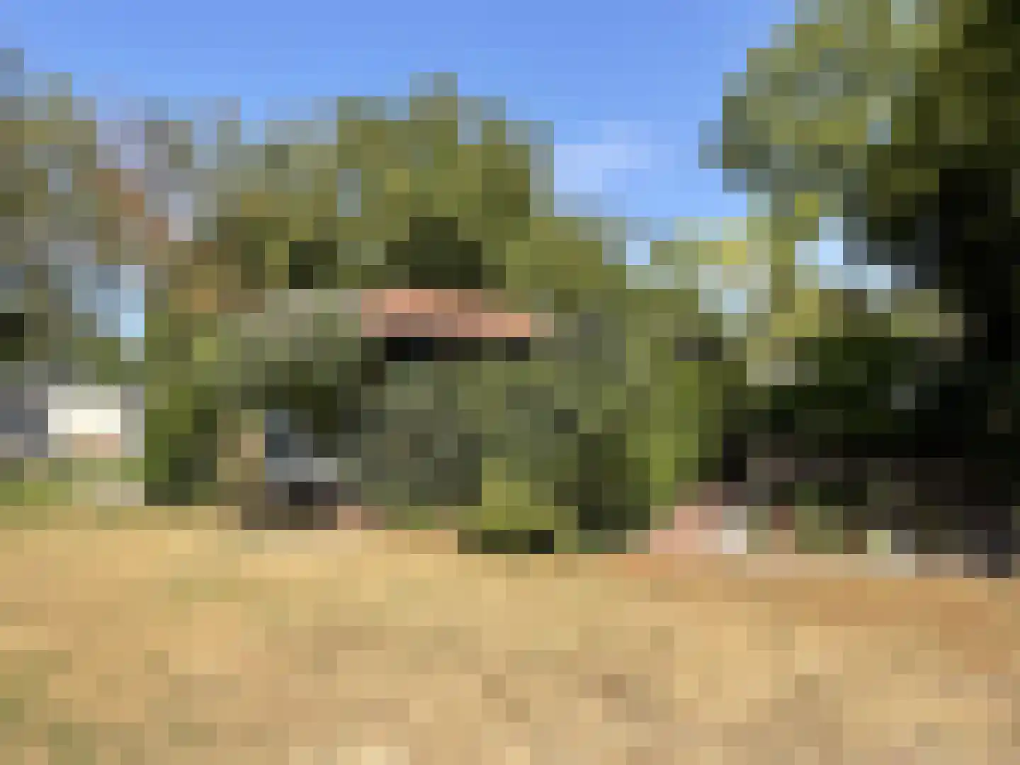 Haspel 97 55 Ermelo thumbnail 18