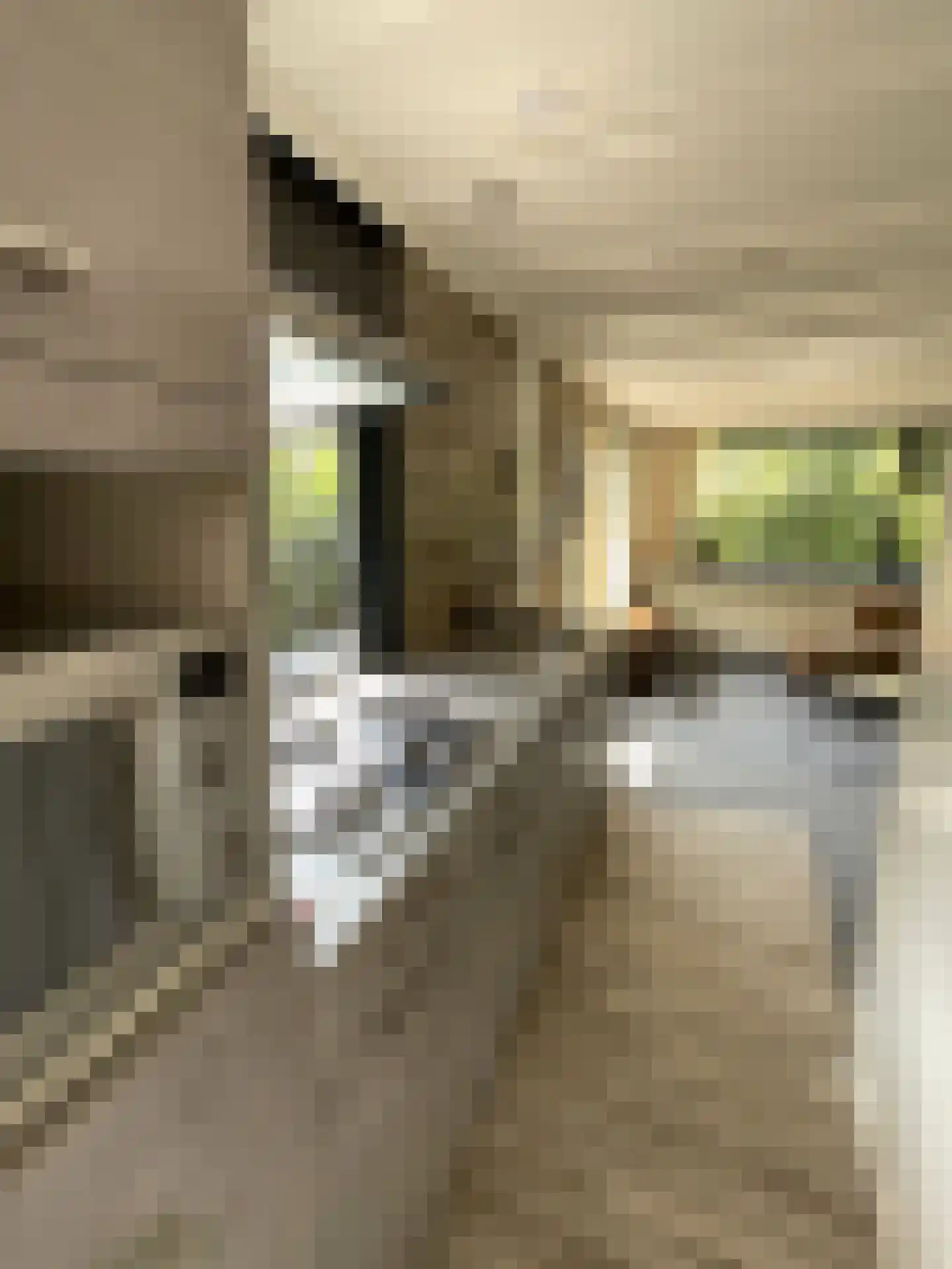 Haspel 97 55 Ermelo thumbnail 8