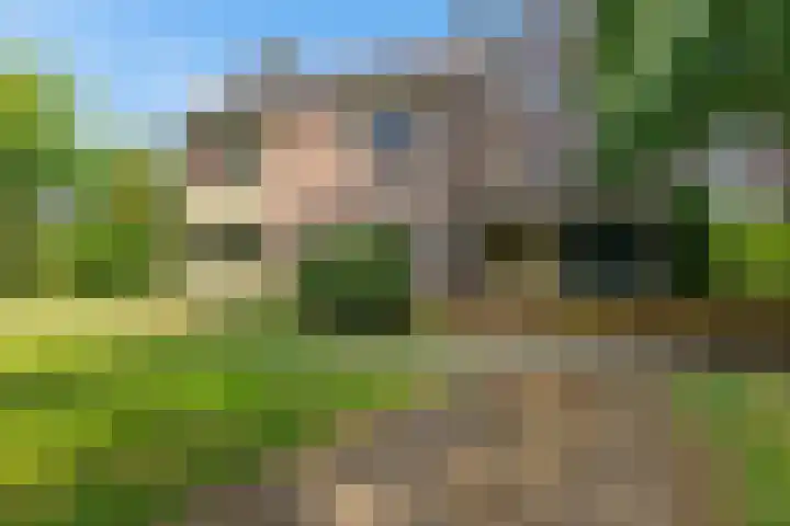 Haspelakkers 2 Gieten
