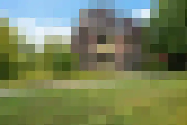 Haspelakkers 2 Gieten foto 2