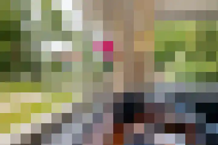 Haspelakkers 2 Gieten thumbnail 20