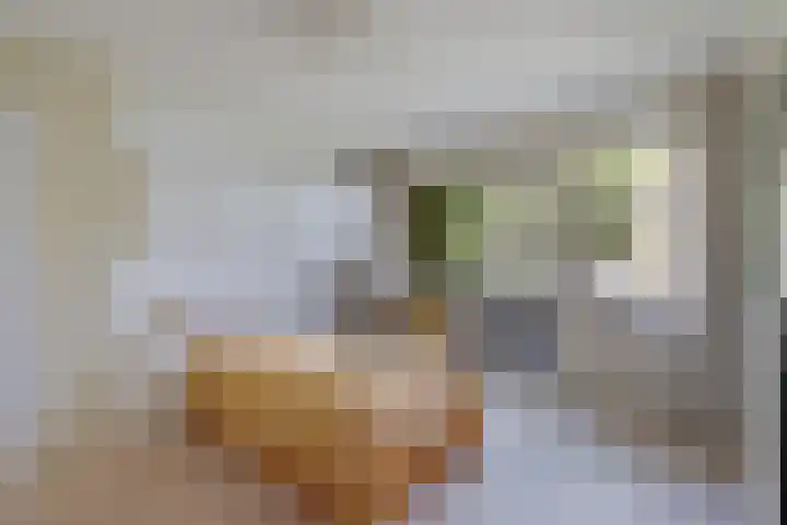 Haspelakkers 2 Gieten thumbnail 25