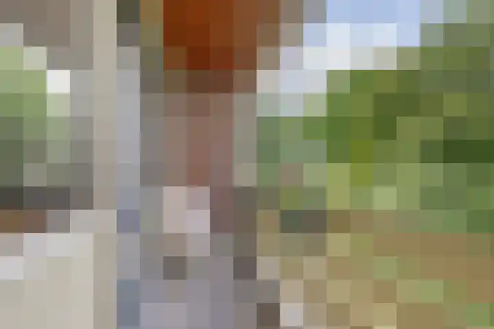Haspelakkers 2 Gieten thumbnail 27