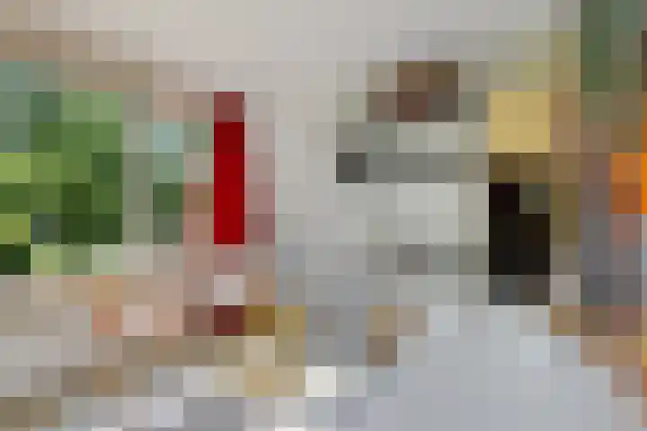 Haspelakkers 2 Gieten thumbnail 29