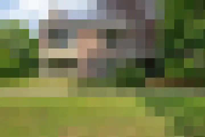 Haspelakkers 2 Gieten foto 3