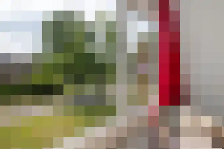 Haspelakkers 2 Gieten thumbnail 31
