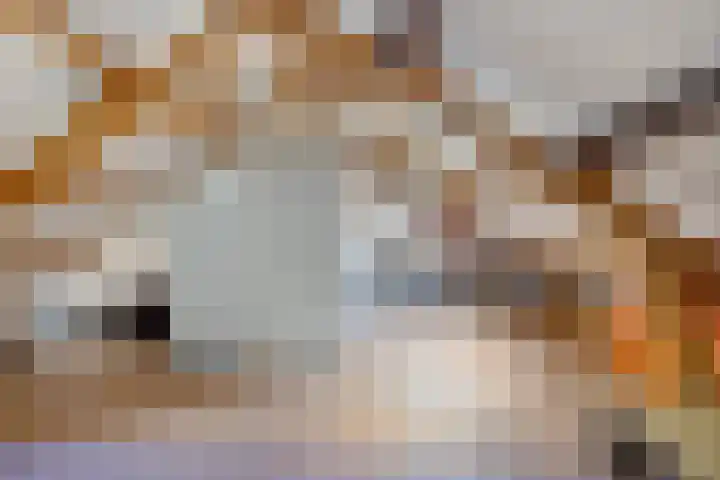 Haspelakkers 2 Gieten thumbnail 40