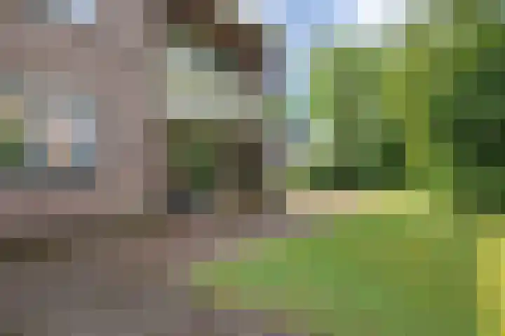 Haspelakkers 2 Gieten thumbnail 43