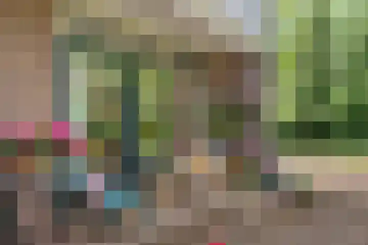 Haspelakkers 2 Gieten thumbnail 44