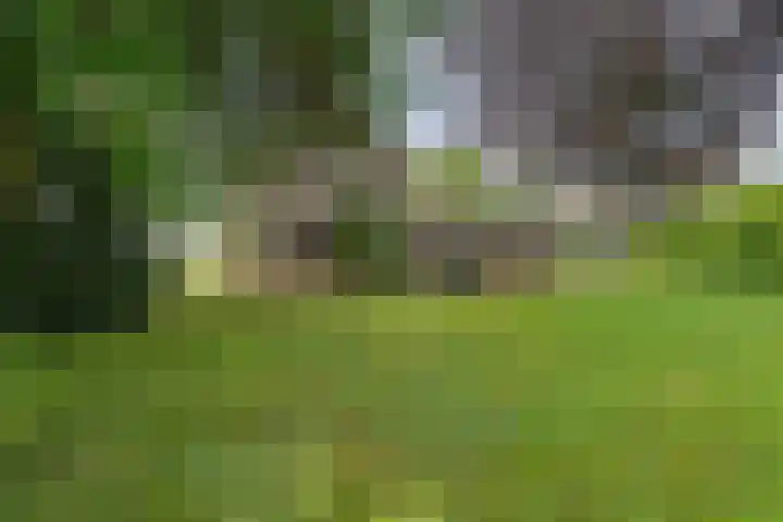Haspelakkers 2 Gieten thumbnail 46
