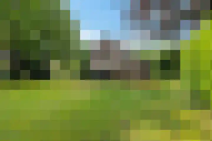 Haspelakkers 2 Gieten thumbnail 47