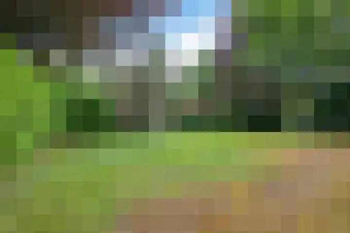 Haspelakkers 2 Gieten thumbnail 48