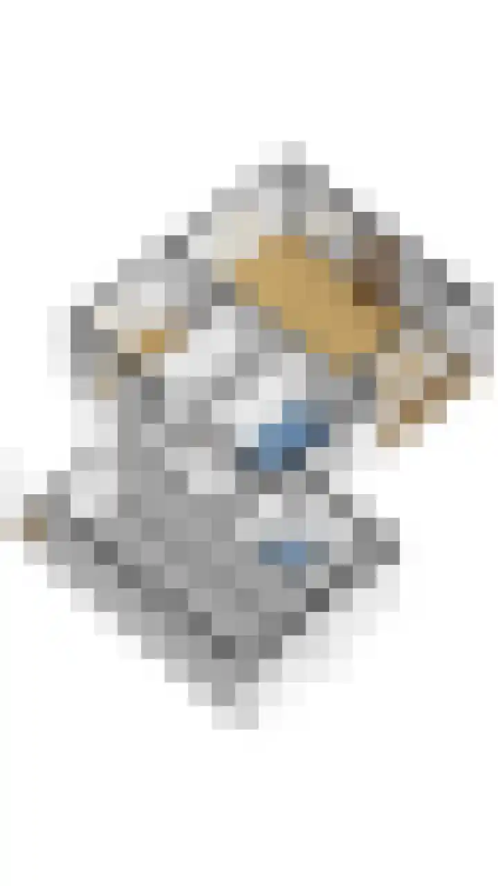 Haspelakkers 2 Gieten thumbnail 50