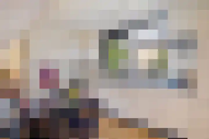 Haspelakkers 2 Gieten thumbnail 8