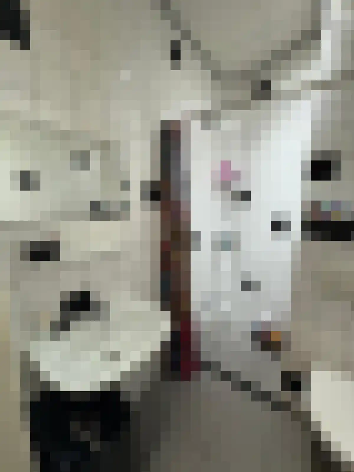 Haspelsstraat 15 D Rotterdam thumbnail 4