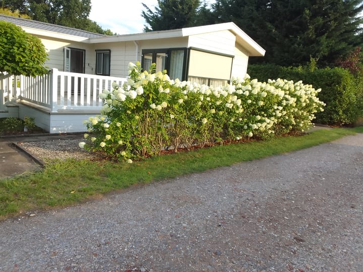 Haspelstraat 19 in Hoeven Foto