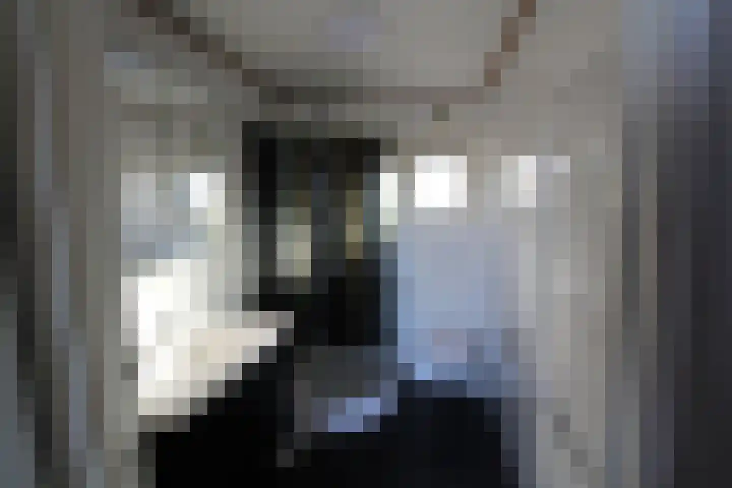 Haspelstraat 19 Hoeven thumbnail 10