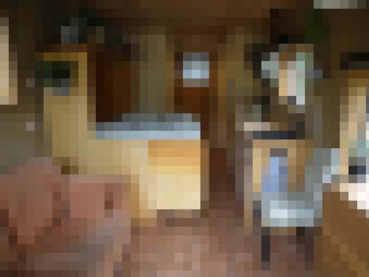 Haspelstraat 19 Hoeven thumbnail 10