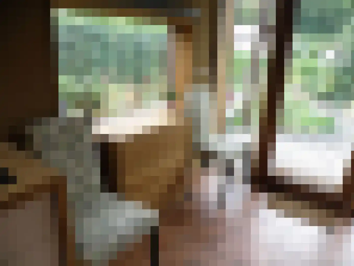 Haspelstraat 19 Hoeven thumbnail 11