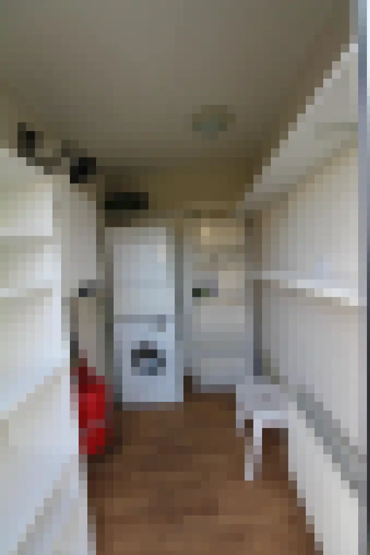 Haspelstraat 19 Hoeven thumbnail 12