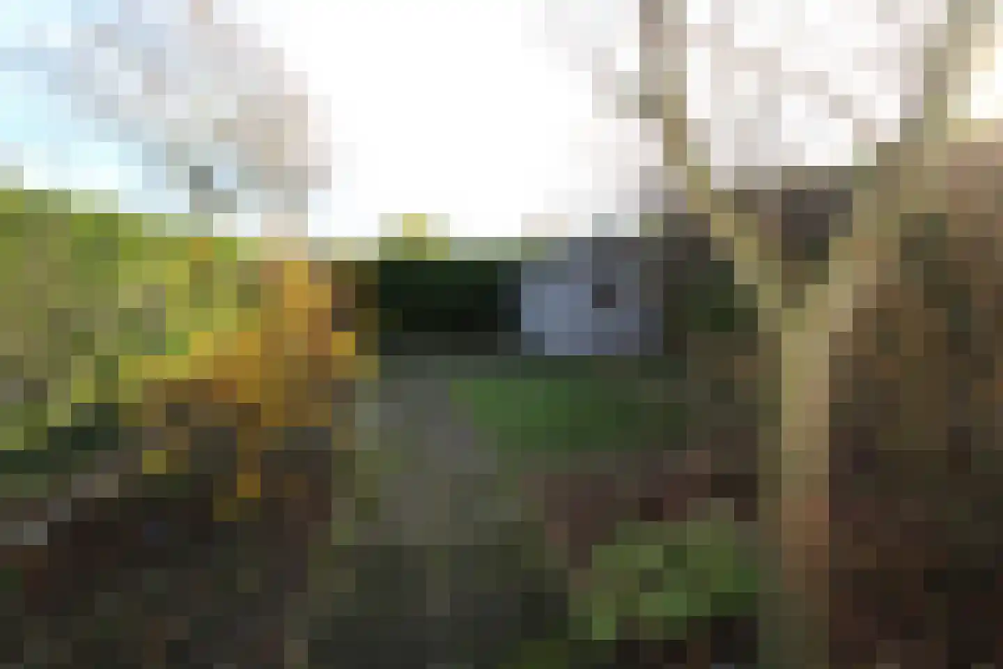 Haspelstraat 19 Hoeven thumbnail 14