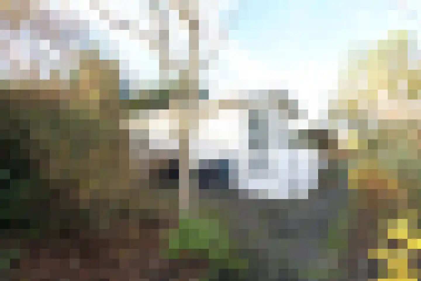 Haspelstraat 19 Hoeven thumbnail 18