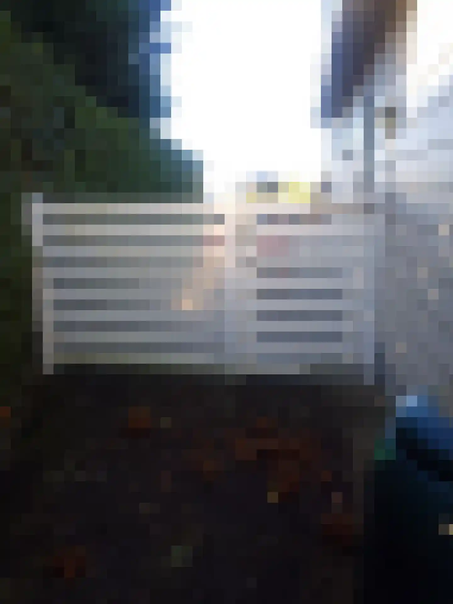 Haspelstraat 19 Hoeven thumbnail 21