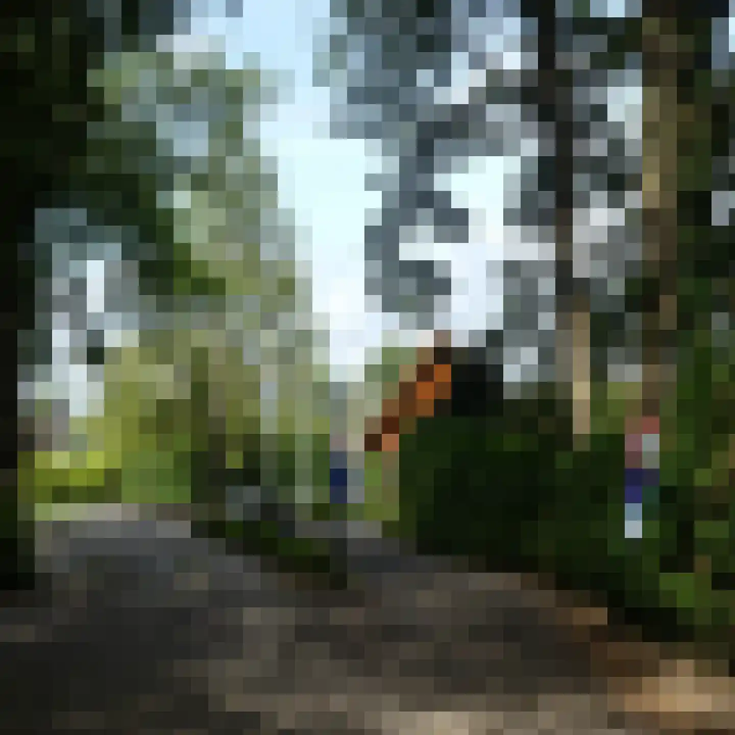 Haspelstraat 19 Hoeven thumbnail 23