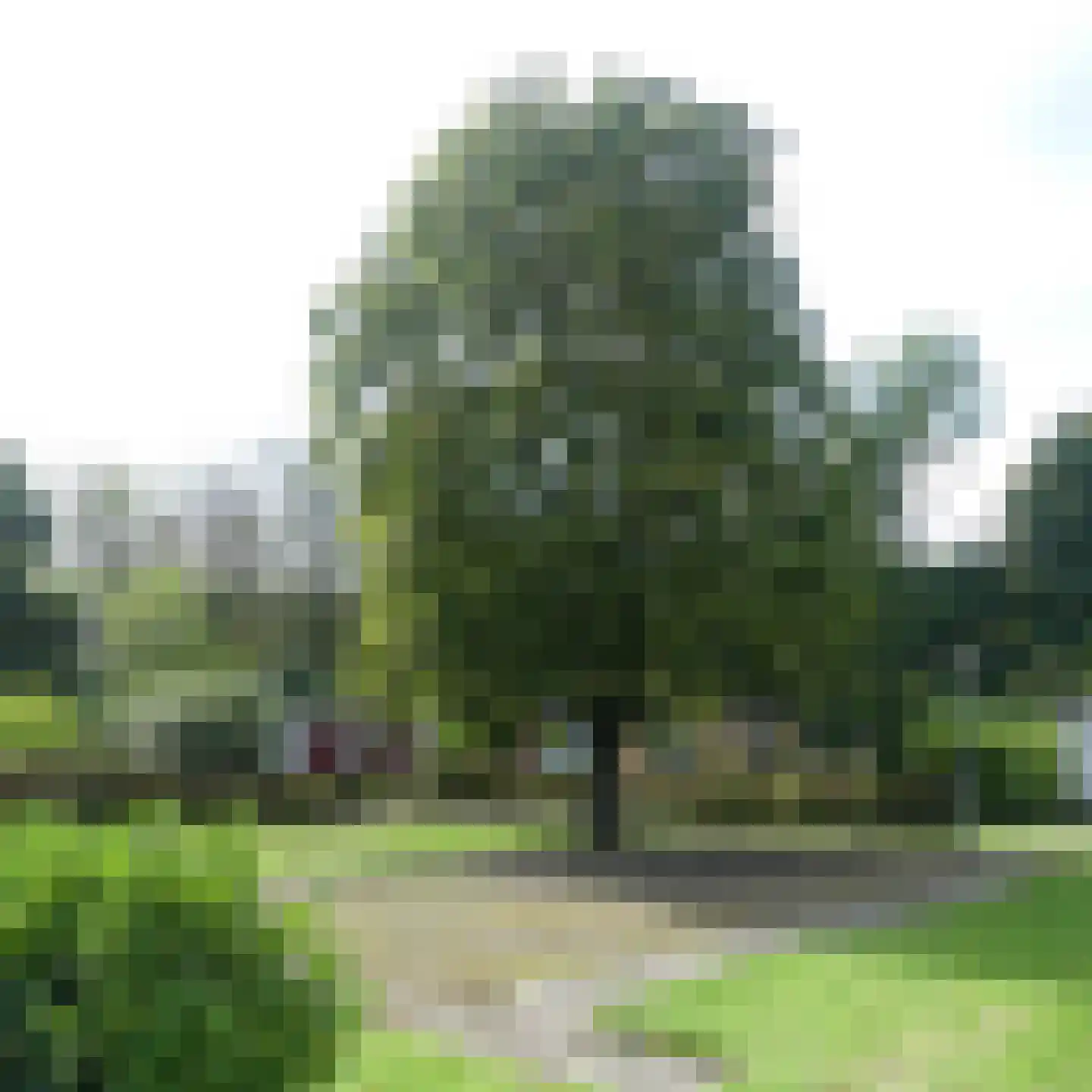 Haspelstraat 19 Hoeven thumbnail 24