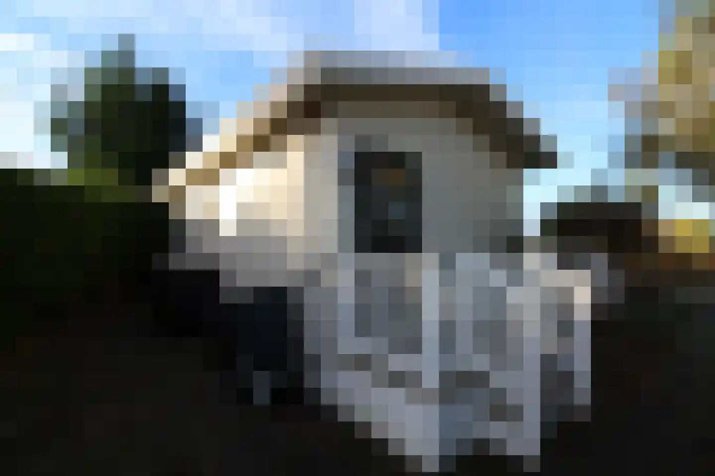 Haspelstraat 19 Hoeven thumbnail 4