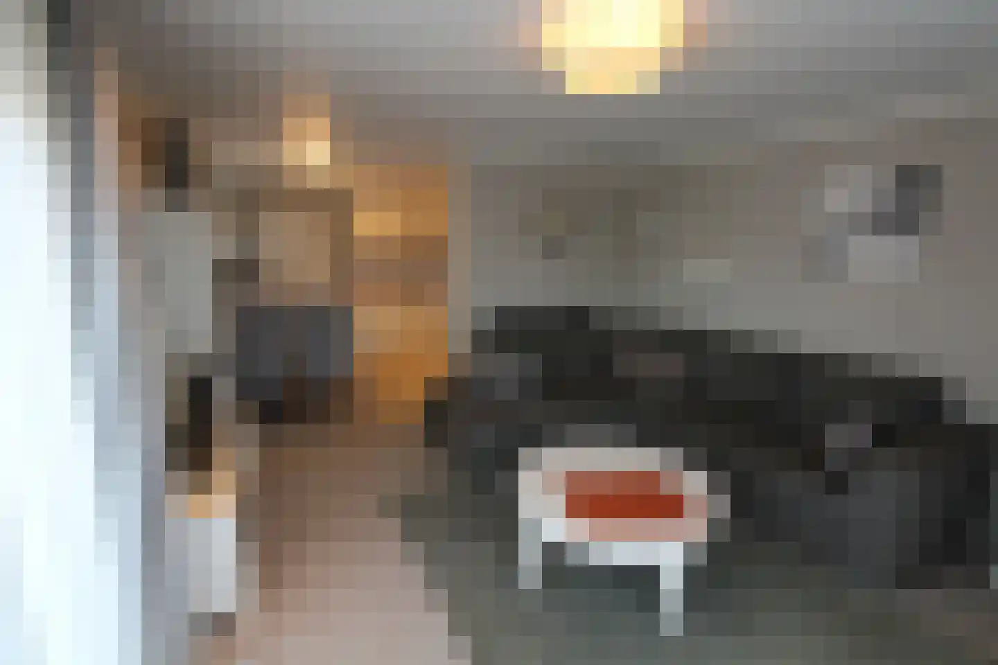 Haspelstraat 19 Hoeven thumbnail 6