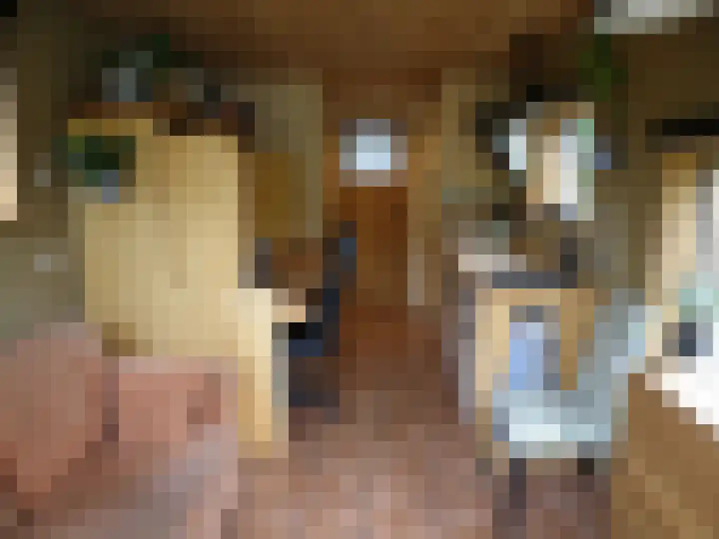 Haspelstraat 19 Hoeven thumbnail 9
