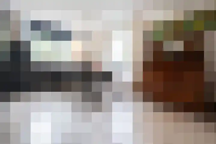 Haspelstraat 2 Hoeven thumbnail 10