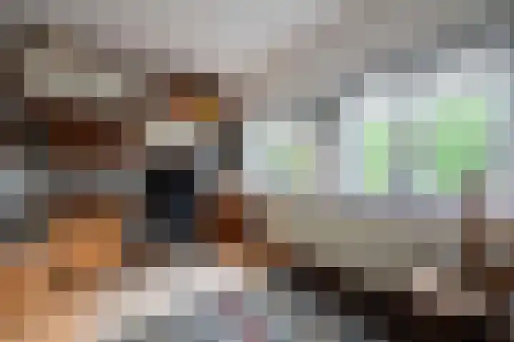 Haspelstraat 2 Hoeven thumbnail 13