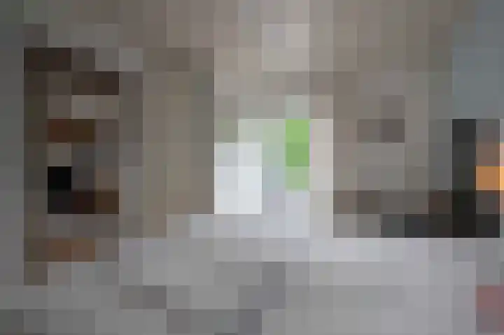 Haspelstraat 2 Hoeven thumbnail 15