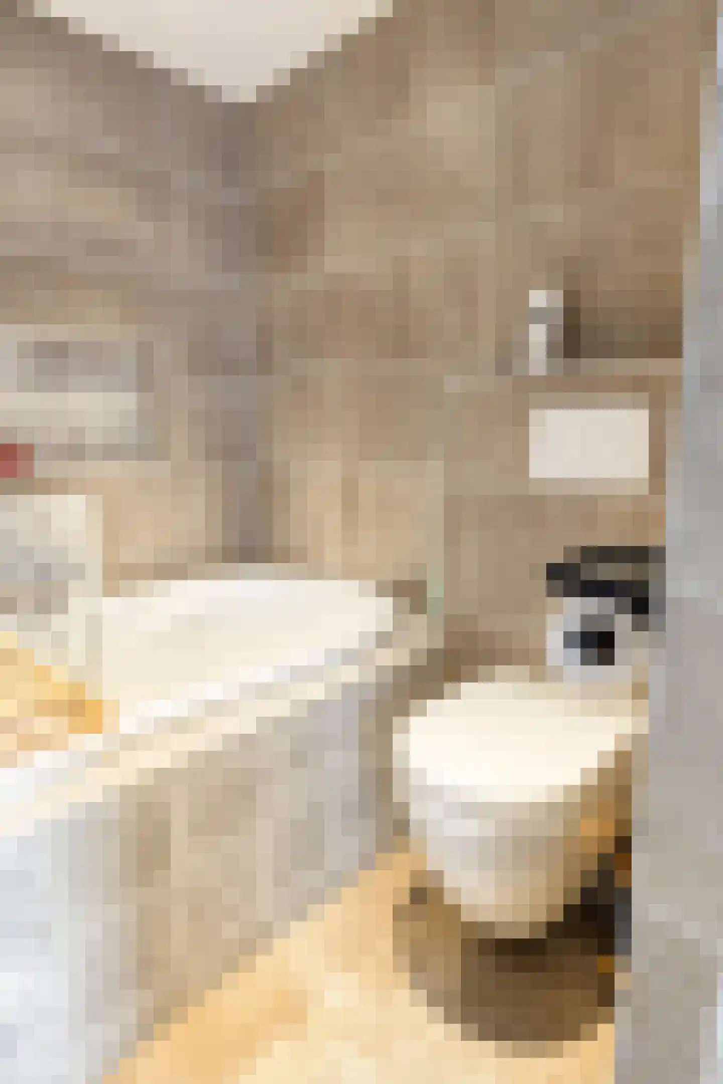 Haspelstraat 2 Hoeven thumbnail 26