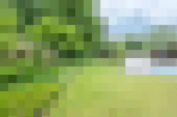 Haspelstraat 2 Hoeven thumbnail 27