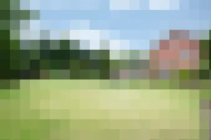 Haspelstraat 2 Hoeven thumbnail 28