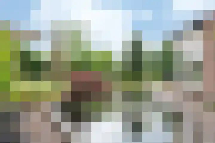 Haspelstraat 2 Hoeven thumbnail 30
